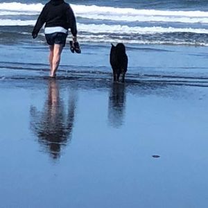 Meet your Posher, Tom